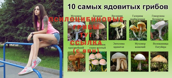 mix Михайлов