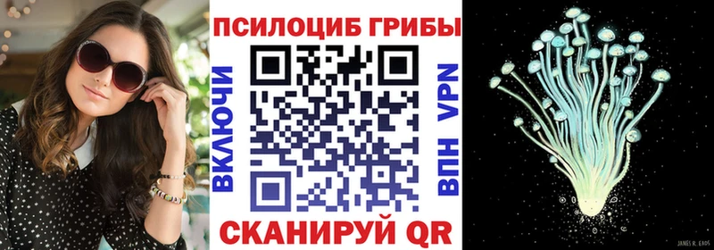 Псилоцибиновые грибы Psilocybine cubensis  магазин  наркотиков  darknet как зайти  Нолинск 